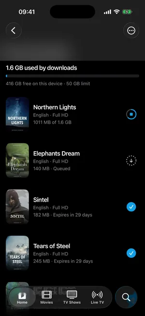 Downloads on iPhone: Northern Lights downloading, Sintel and Tears of Steel ready